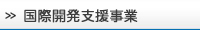 国際開発支援事業